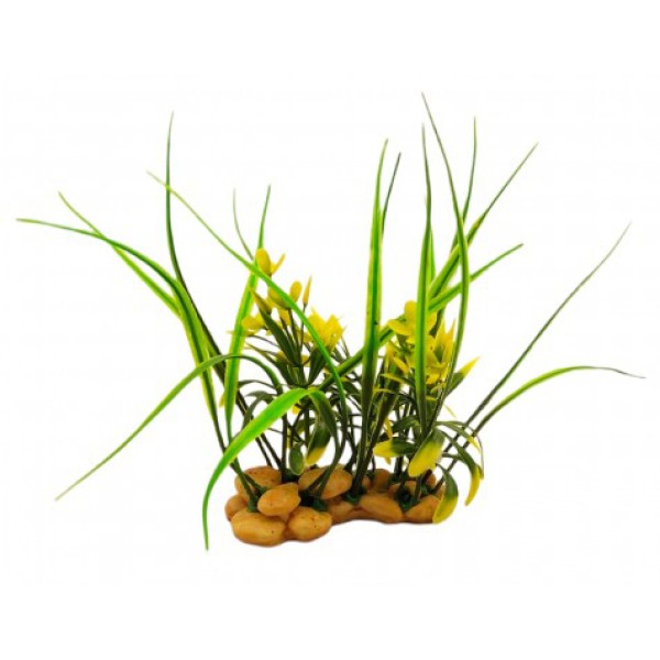 ΔΙΑΚΟΣΜΗΤΙΚΟ ΦΥΤΟ ΕΝΥΔΡΕΙΟΥ 9Χ16CM